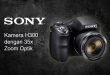Sony DSC H300 Spesifikasi